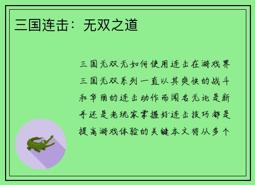 三国连击：无双之道